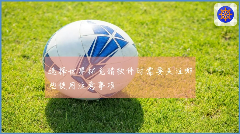 选择世界杯竞猜软件时需要关注哪些使用注意事项